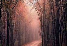 vivo手机应用商店,vivo手机应用商店叫什么名字