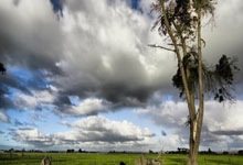 小米手机应用数据占了很多内存咋办,小米手机应用数据怎么清理