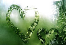 vivo手机应用商店,vivo手机应用商店叫什么名字