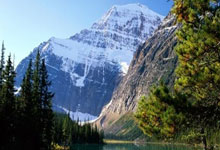 vivo手机应用商店,vivo手机应用商店叫什么名字